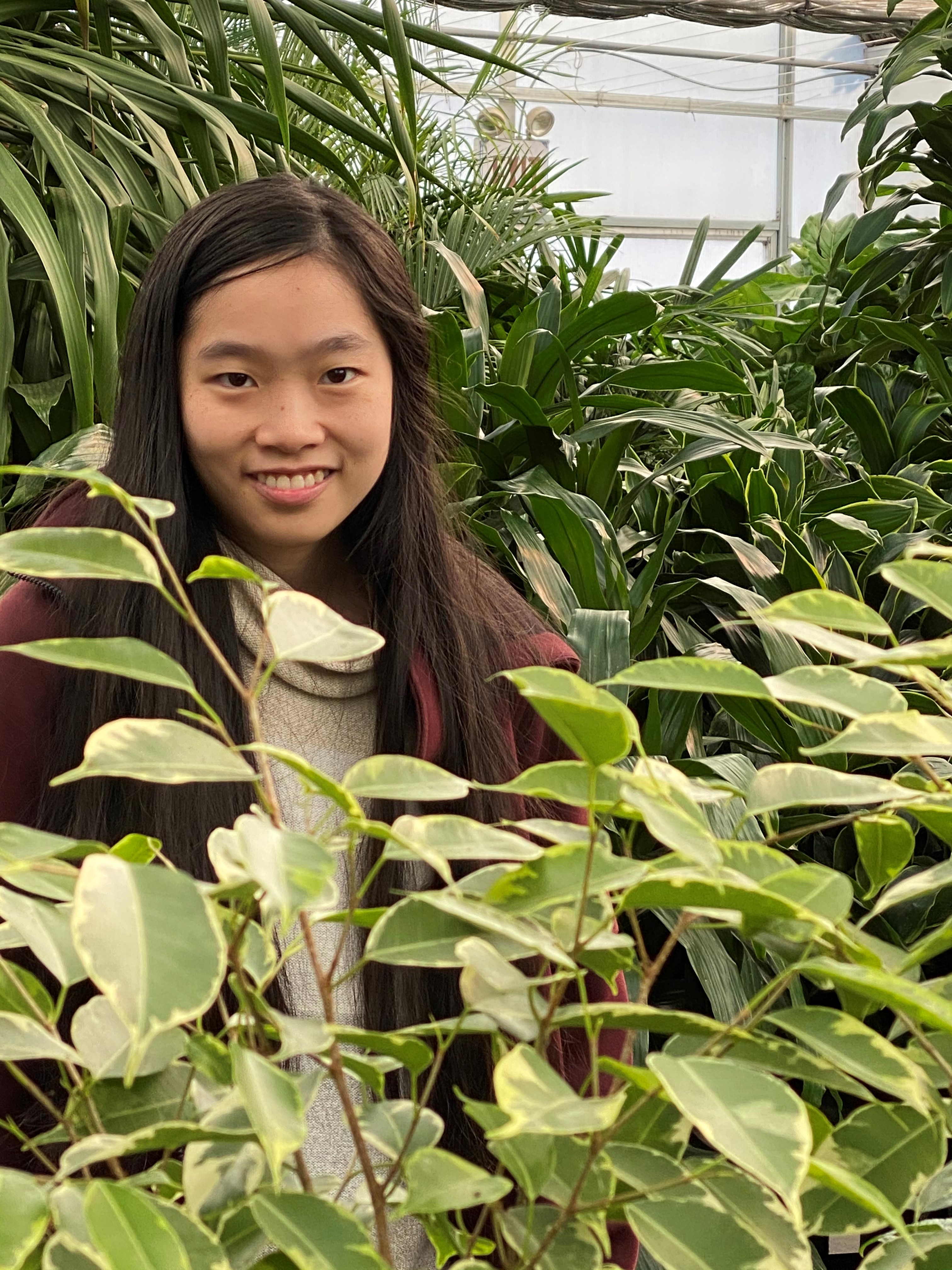 Image of Amy Weng