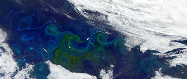 A satellite image of blooming phytoplankton, visible as green-tinted swirls, in the South Atlantic. Credit: NASA Credit: NASA (OCI sensor aboard PACE on January 5, 2025)