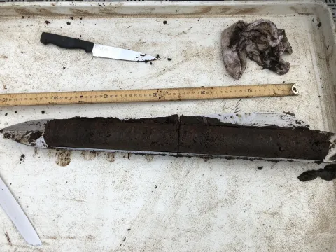 A soil core sample from the SPRUCE facility. (Photo Joel Kostka) A soil core sample from the SPRUCE facility. (Photo Joel Kostka)